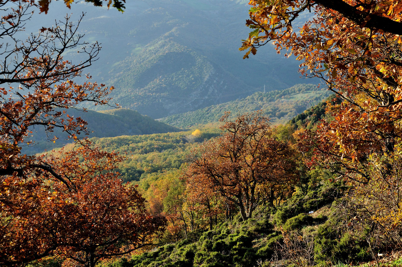 Parco di Gallipoli Cognato Piccole Dolomiti Lucane